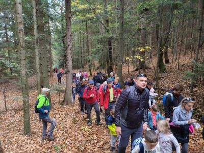 Kliknite za ogled večje slike