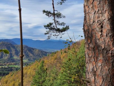 Kliknite za ogled večje slike