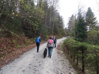 Kliknite za ogled večje slike