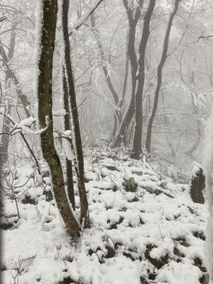 Kliknite za ogled večje slike