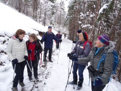 Kliknite za ogled večje slike