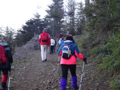 Kliknite za ogled večje slike