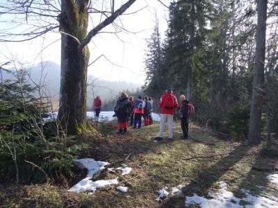 Kliknite za ogled večje slike