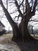 DSC01926.JPG