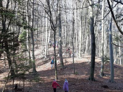Kliknite za ogled večje slike