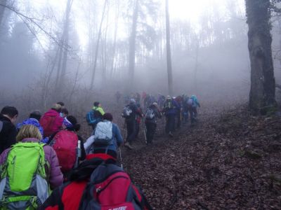 Kliknite za ogled večje slike