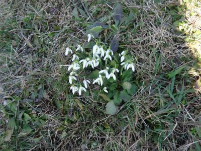 Kliknite za ogled večje slike