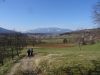 DSC01966.JPG