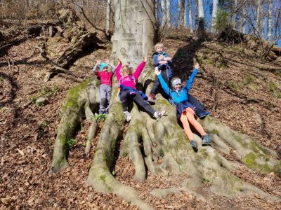 Kliknite za ogled večje slike