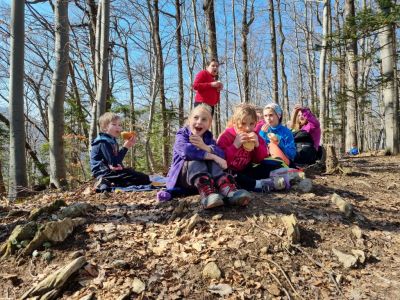 Kliknite za ogled večje slike