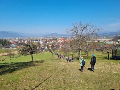 Kliknite za ogled večje slike