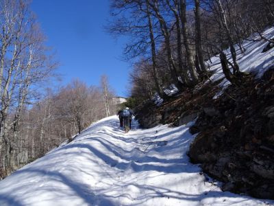 Kliknite za ogled večje slike