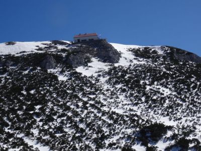 Kliknite za ogled večje slike