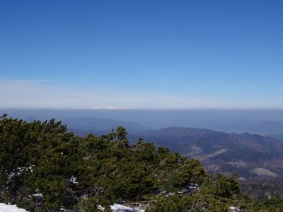 Kliknite za ogled večje slike