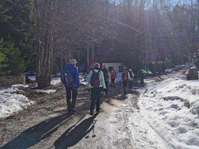 Kliknite za ogled večje slike