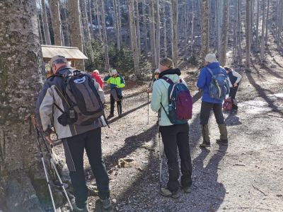 Kliknite za ogled večje slike