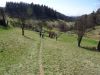 DSC02081.JPG