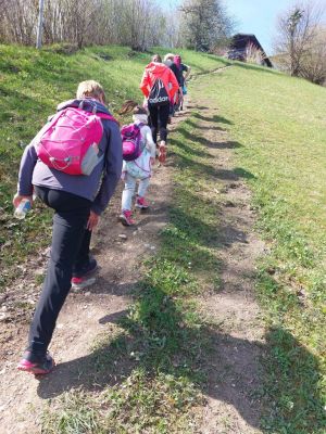 Kliknite za ogled večje slike