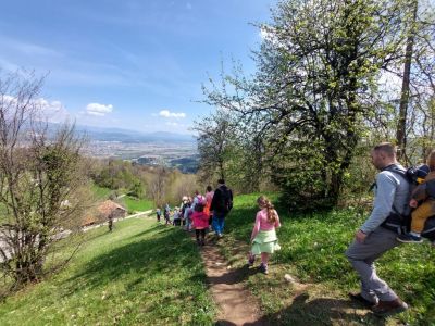 Kliknite za ogled večje slike