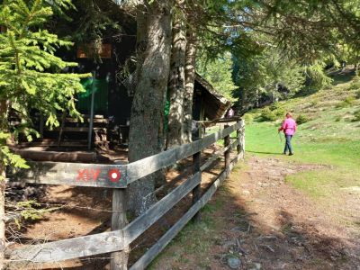 Kliknite za ogled večje slike