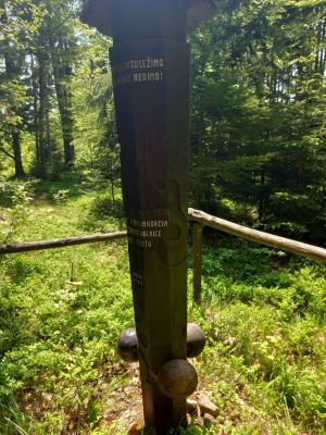 Kliknite za ogled večje slike