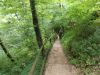DSCN6361.JPG