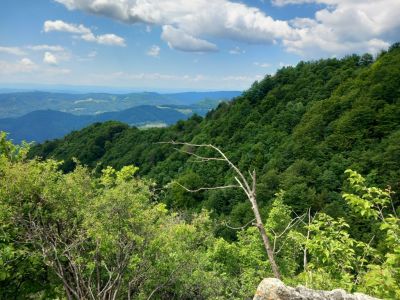 Kliknite za ogled večje slike