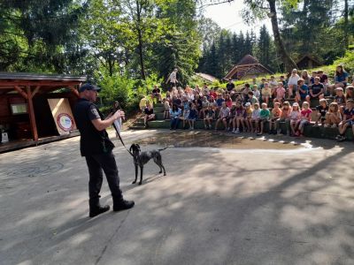 Kliknite za ogled večje slike