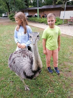 Kliknite za ogled večje slike