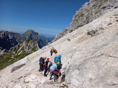 Kliknite za ogled večje slike