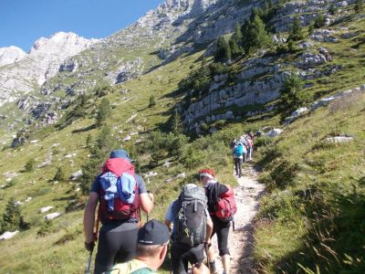 Kliknite za ogled večje slike