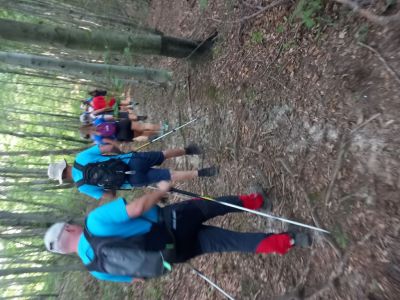 Kliknite za ogled večje slike