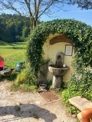 Kliknite za ogled večje slike