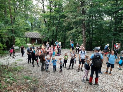 Kliknite za ogled večje slike