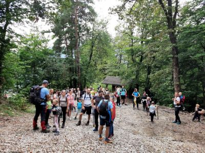Kliknite za ogled večje slike