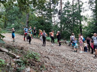 Kliknite za ogled večje slike