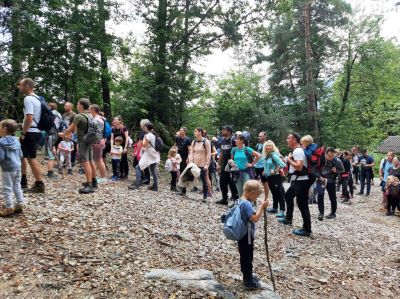 Kliknite za ogled večje slike