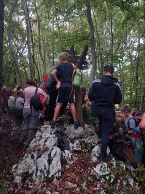 Kliknite za ogled večje slike