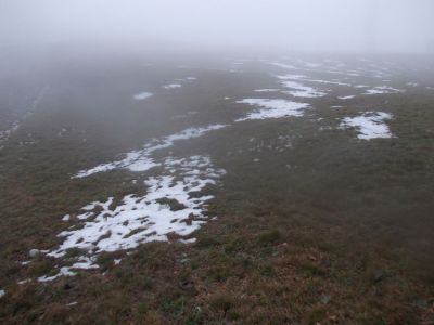 Kliknite za ogled večje slike