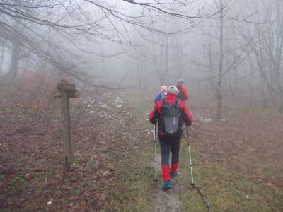 Kliknite za ogled večje slike