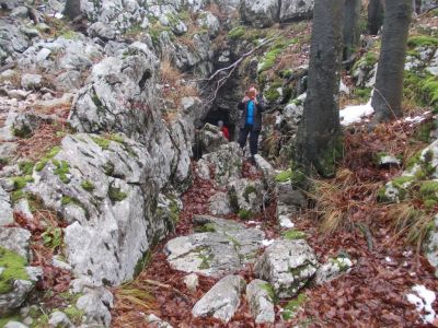 Kliknite za ogled večje slike