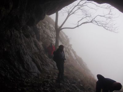 Kliknite za ogled večje slike