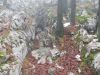 DSCN6522.JPG