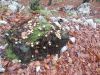 DSCN6540.JPG