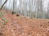 DSCN6543.JPG