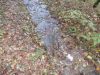 DSCN6545.JPG