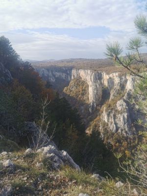 Kliknite za ogled večje slike