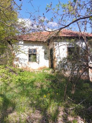 Kliknite za ogled večje slike