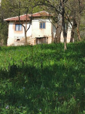 Kliknite za ogled večje slike