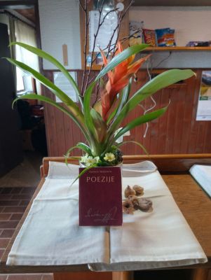 Kliknite za ogled večje slike